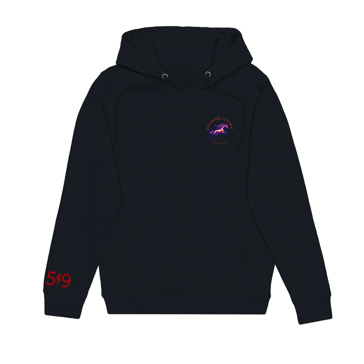 DELAWARE CENTRAL CLASSIC HOODIE (UNISEX)