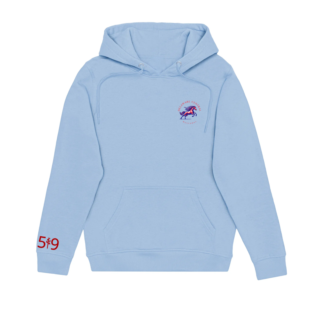 DELAWARE CENTRAL CLASSIC HOODIE (UNISEX)
