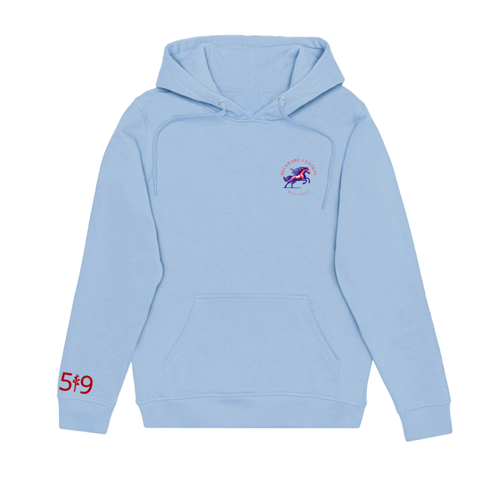 DELAWARE CENTRAL CLASSIC HOODIE (UNISEX)