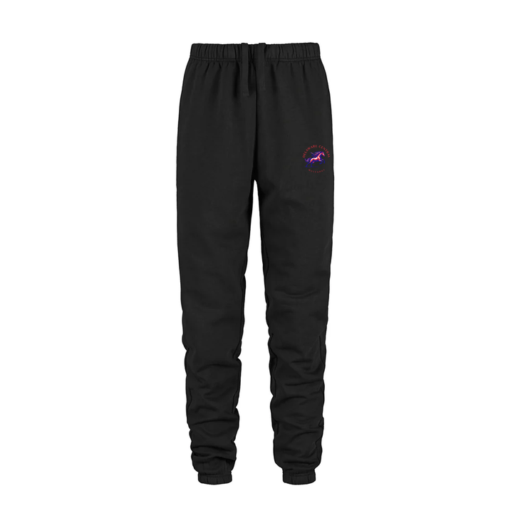 DELAWARE CENTRAL CLASSIC SWEATPANTS (UNISEX)