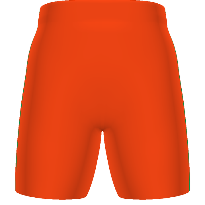 Customizable Unisex Ball Hockey 8" Shorts #DK8120