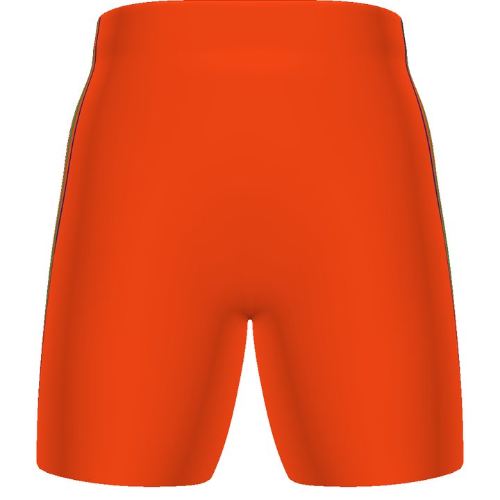 Customizable Unisex Ball Hockey 8" Shorts #DK8120
