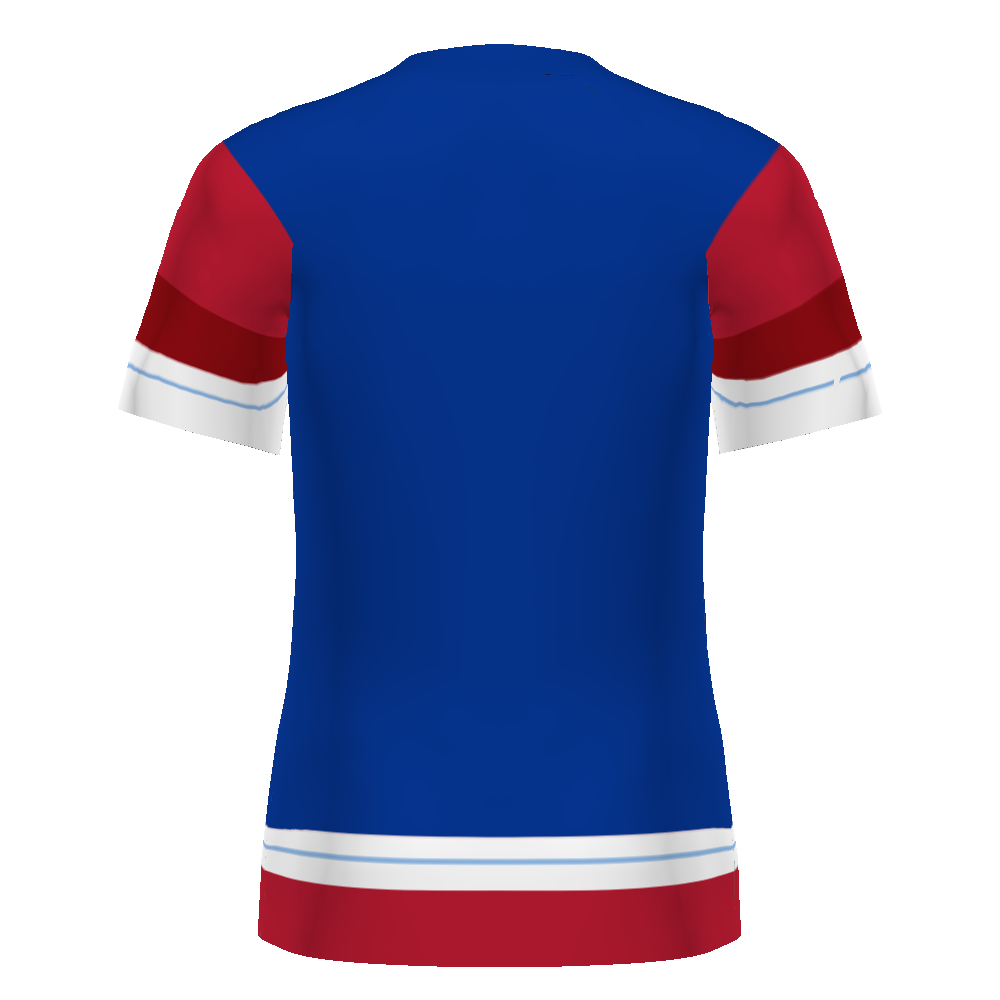 Customizable Ladies Ball Hockey Jersey #DK8380