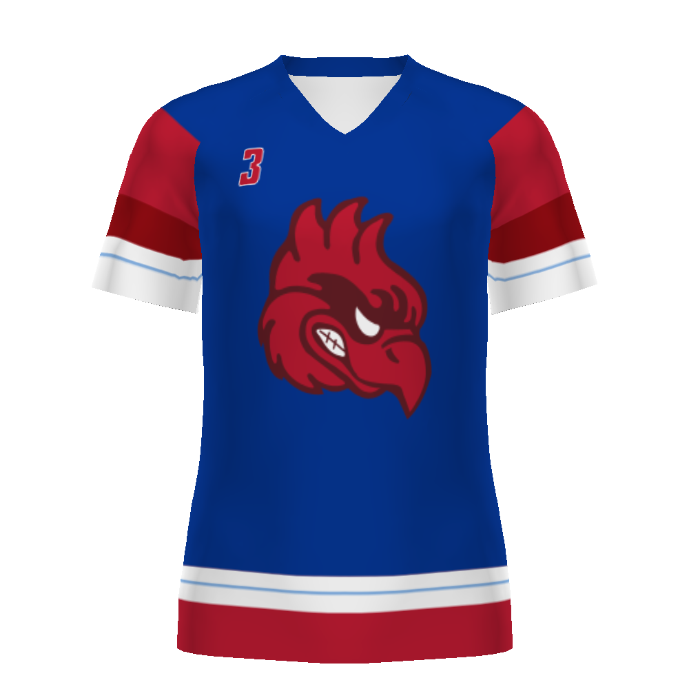 Customizable Ladies Ball Hockey Jersey #DK8380