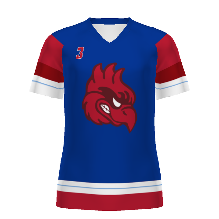 Customizable Ladies Ball Hockey Jersey #DK8380