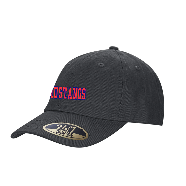 DELAWARE CENTRAL EMBROIDERED DAD CAP