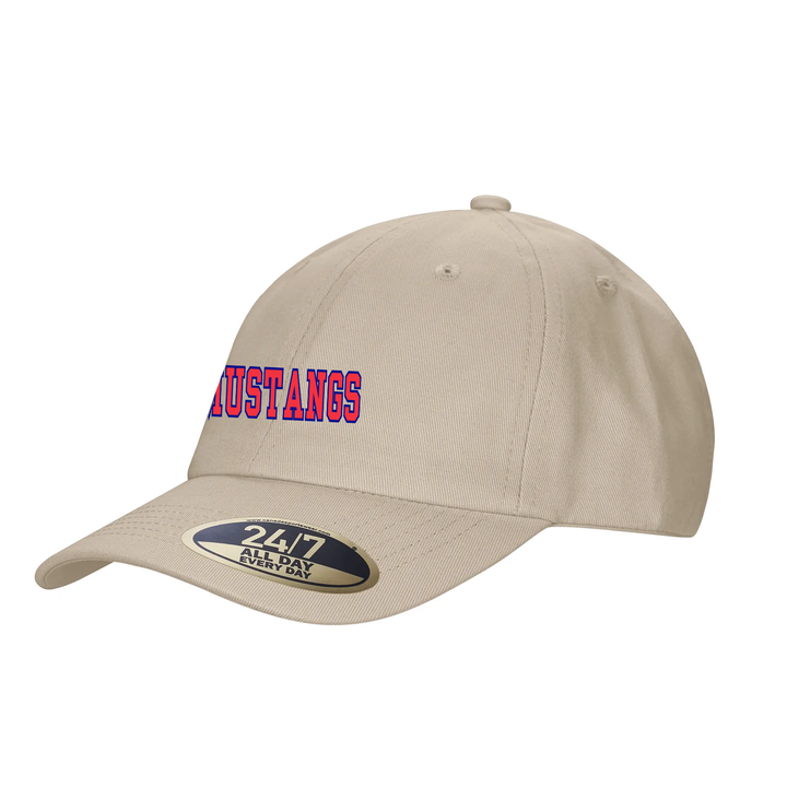 DELAWARE CENTRAL EMBROIDERED DAD CAP