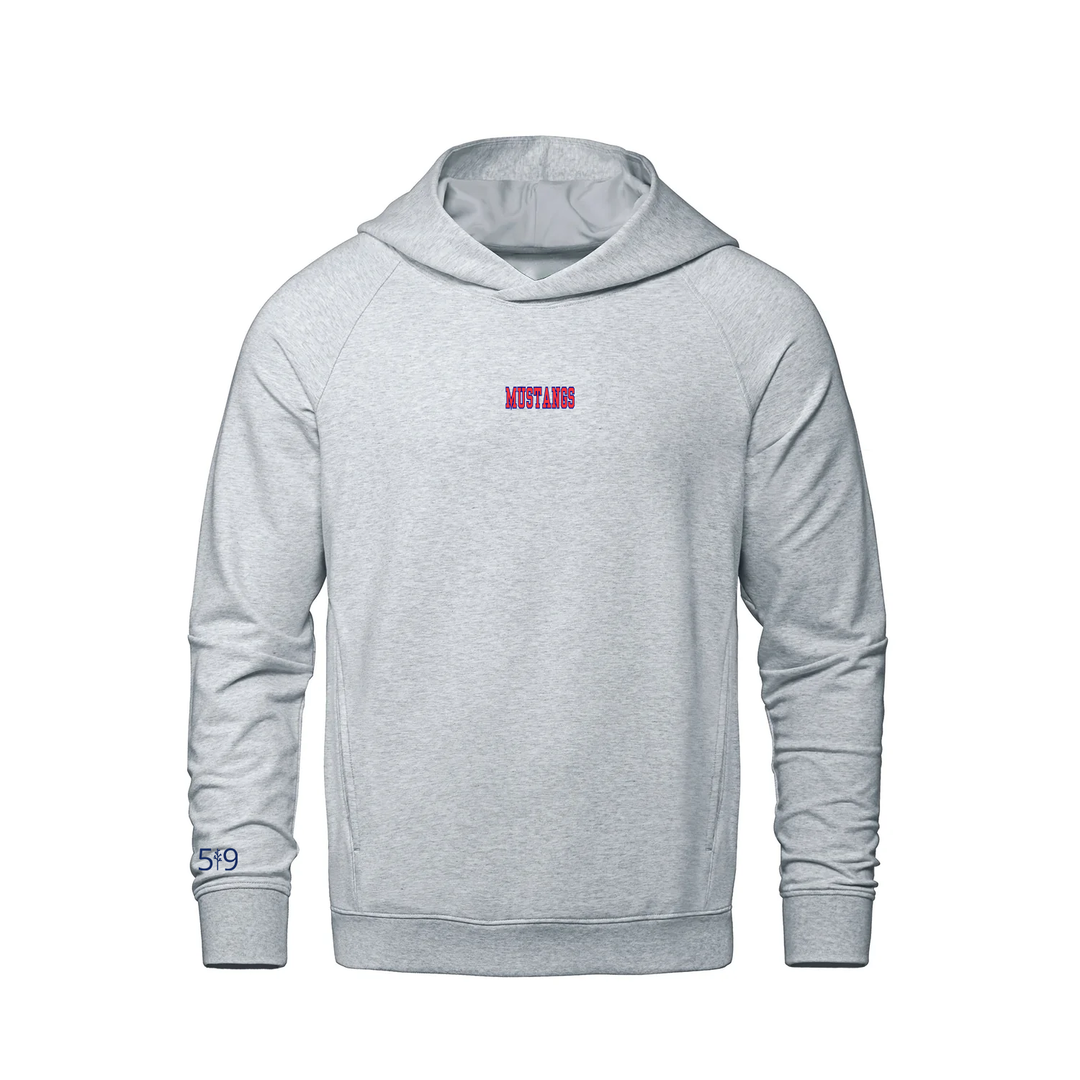 DELAWARE CENTRAL EMBROIDERED FRENCH TERRY HOODIE (UNISEX)