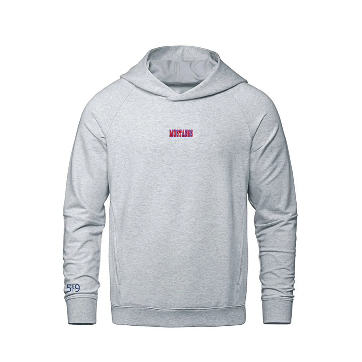 DELAWARE CENTRAL EMBROIDERED FRENCH TERRY HOODIE (UNISEX)