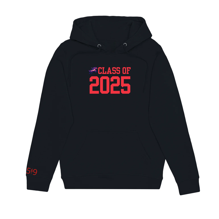 DELAWARE CENTRAL CLASS OF 2025 HOODIE (YOUTH)