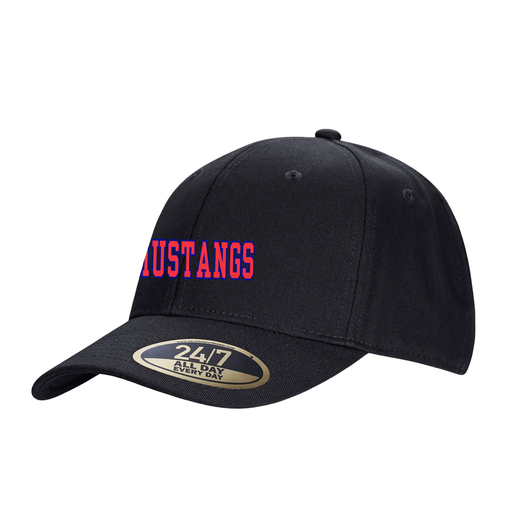 DELAWARE CENTRAL EMBROIDERED SNAPBACK CAP