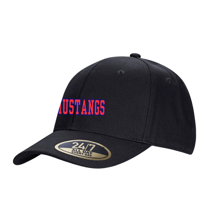 DELAWARE CENTRAL EMBROIDERED SNAPBACK CAP