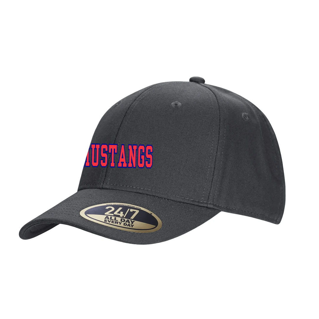DELAWARE CENTRAL EMBROIDERED SNAPBACK CAP