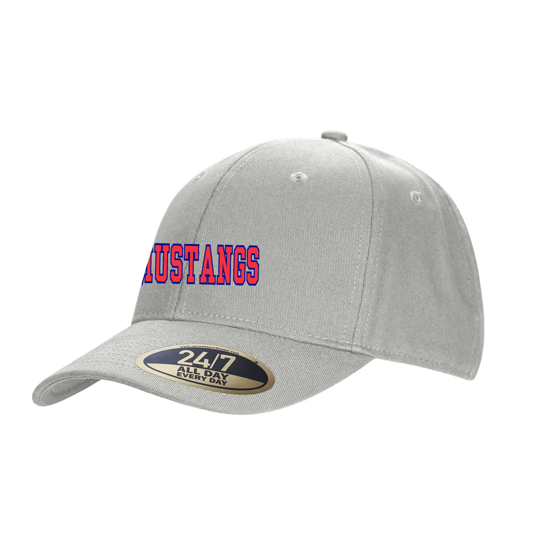 DELAWARE CENTRAL EMBROIDERED SNAPBACK CAP