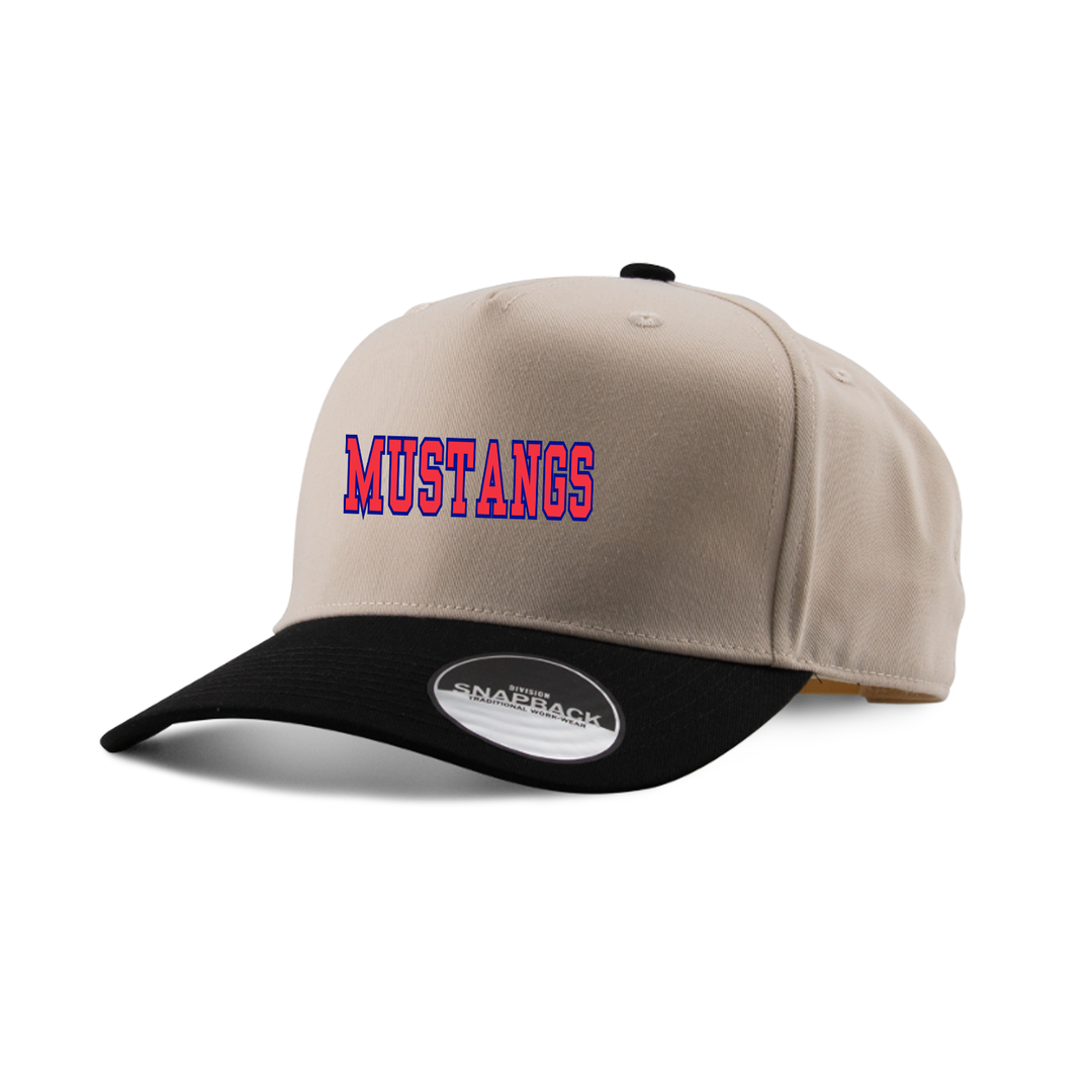DELAWARE CENTRAL EMBROIDERED TWO-TONE PANEL CAP