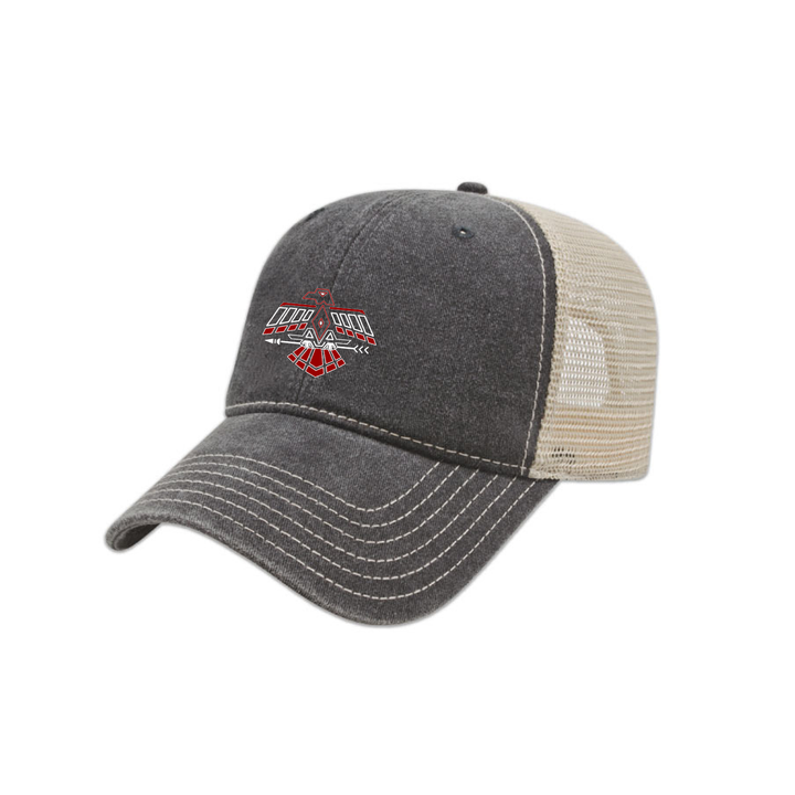 THUNDERBIRDS EMBROIDERED VINTAGE MESHBACK HAT
