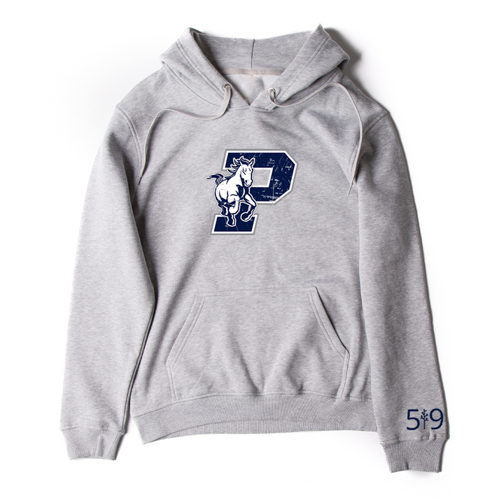 PARKSIDE DISTRESSED HOODIE (UNISEX)