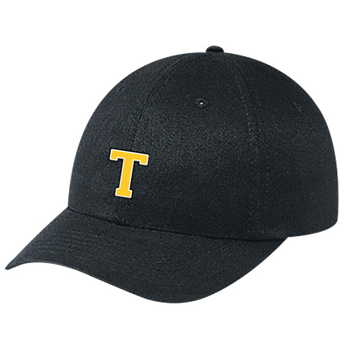 CENTRAL ELGIN EMBROIDERED T DAD CAP (UNISEX)