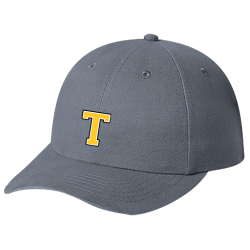 CENTRAL ELGIN EMBROIDERED T DAD CAP (UNISEX)