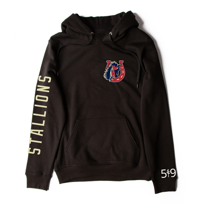 STONEY CREEK SLEEVE LOGO HOODIE (YOUTH)