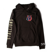 STONEY CREEK SLEEVE LOGO HOODIE (UNISEX)