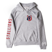 STONEY CREEK SLEEVE LOGO HOODIE (UNISEX)