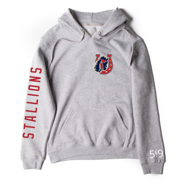STONEY CREEK SLEEVE LOGO HOODIE (UNISEX)