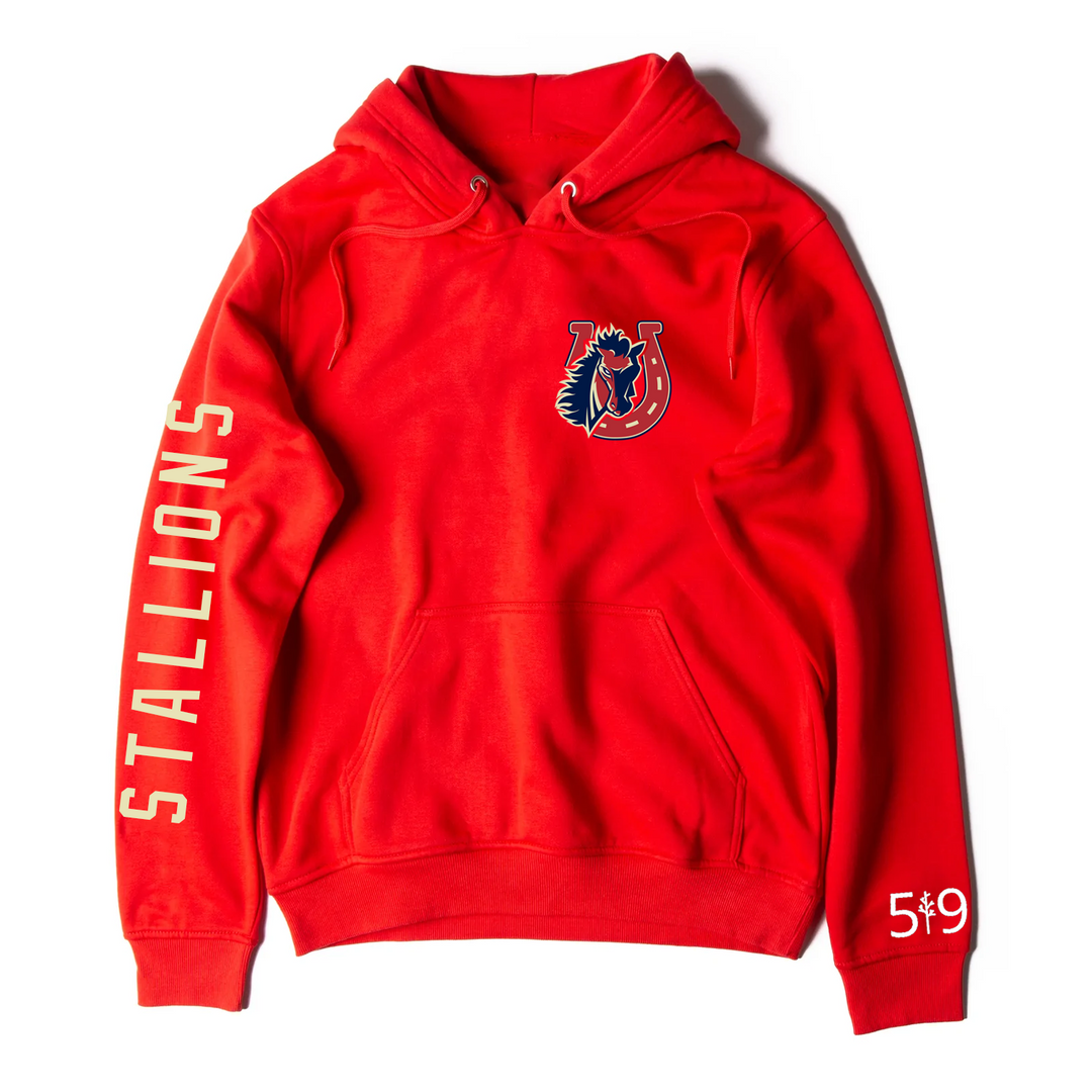 STONEY CREEK SLEEVE LOGO HOODIE (UNISEX)