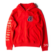 STONEY CREEK SLEEVE LOGO HOODIE (UNISEX)