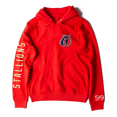 STONEY CREEK SLEEVE LOGO HOODIE (UNISEX)