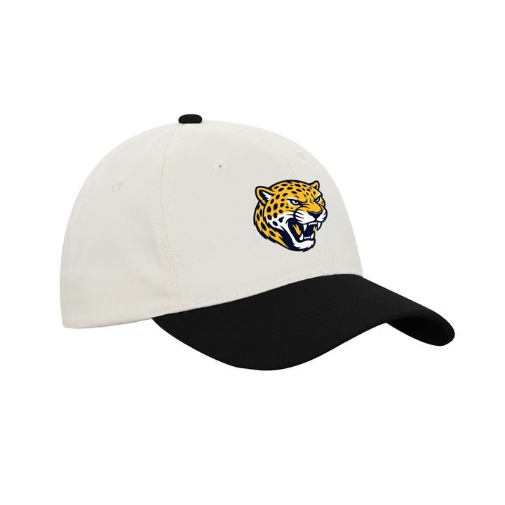 JOHN WISE EMBROIDERED RETRO DAP CAP