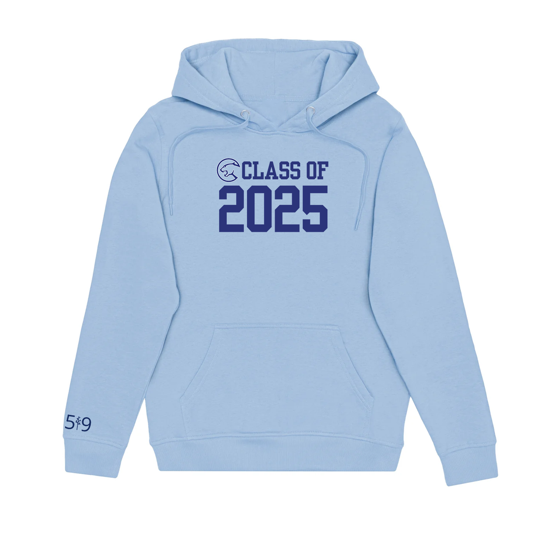 MONTCALM CLASS OF 2025 HOODIE (UNISEX)