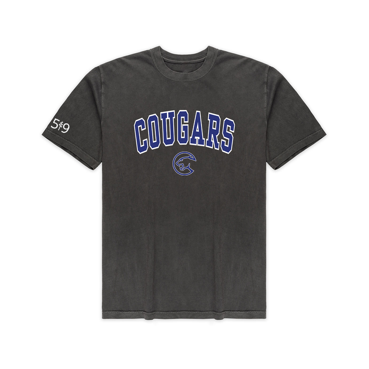 MONTCALM VARSITY VINTAGE TEE (UNISEX)