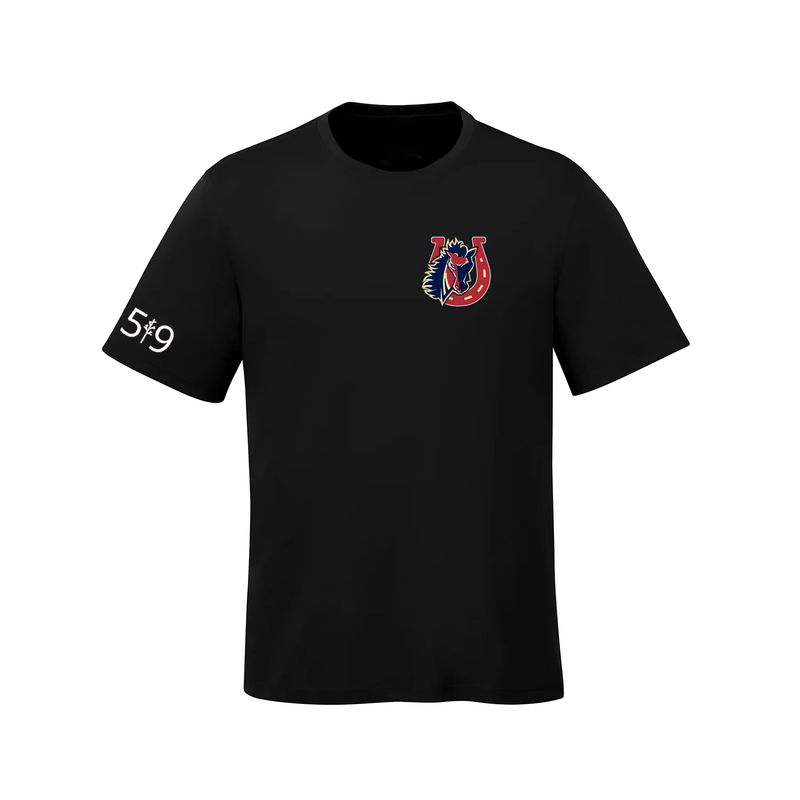 STONEY CREEK TEE (MENS)