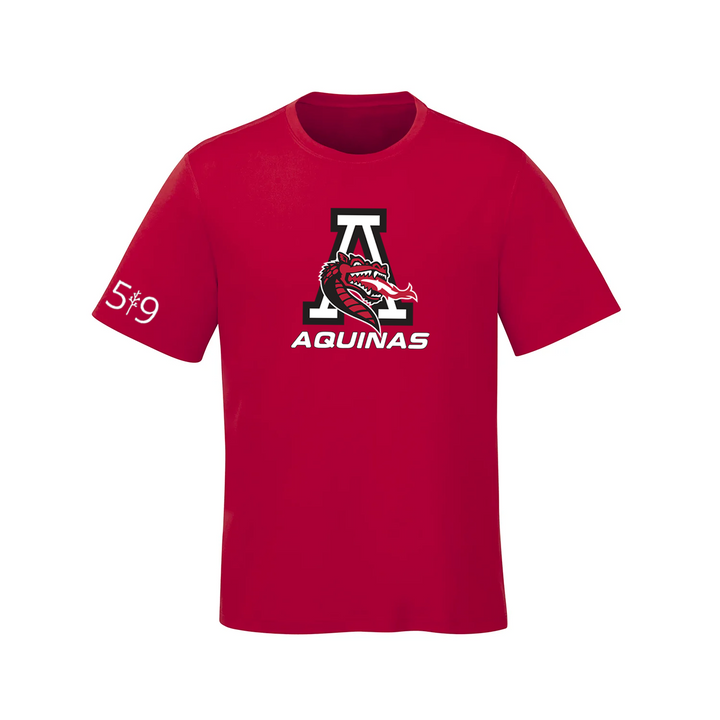 AQUINAS DRAGON TEE (MENS)