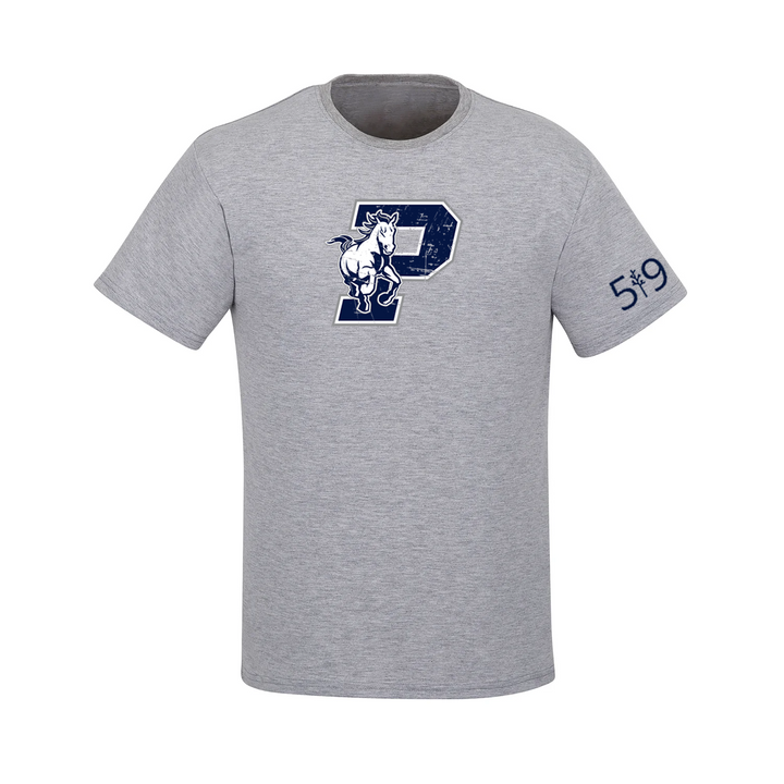 PARKSIDE DISTRESSED TEE (WOMENS)