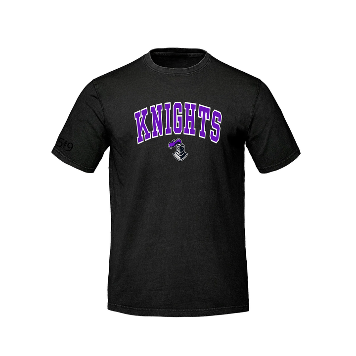 NORTHDALE CENTRAL VARSITY RETRO TEE (UNISEX)