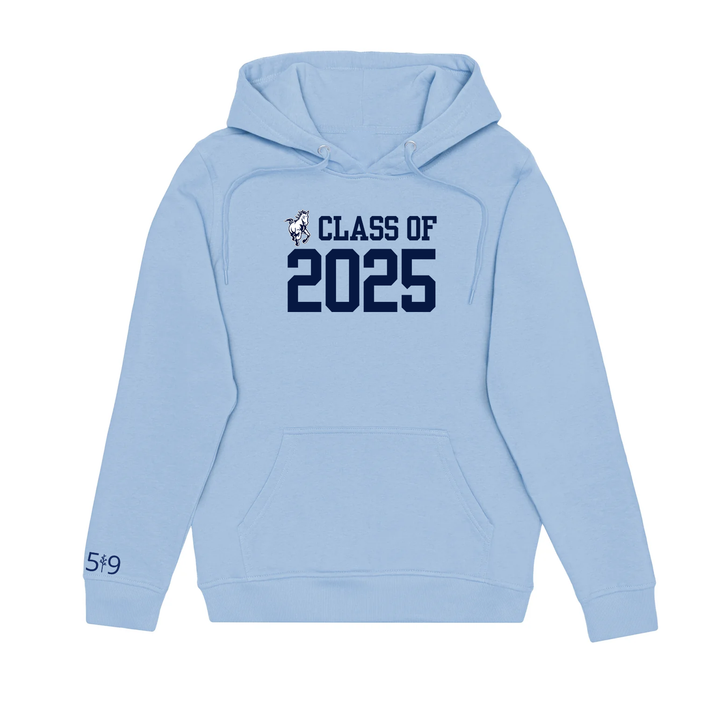 PARKSIDE CLASS OF 2025 HOODIE (UNISEX)