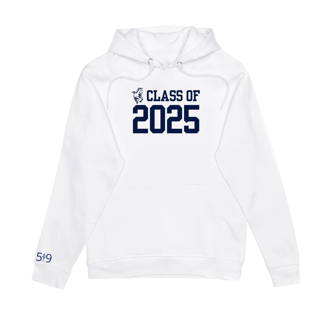 PARKSIDE CLASS OF 2025 HOODIE (UNISEX)