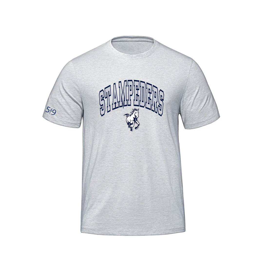 PARKSIDE VARSITY PREMIUM TEE (MENS)