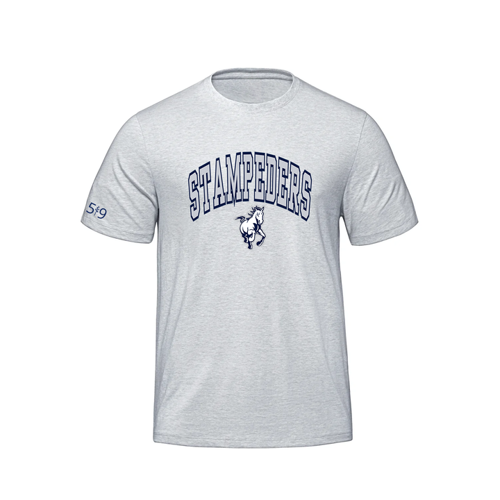 PARKSIDE VARSITY PREMIUM TEE (MENS)