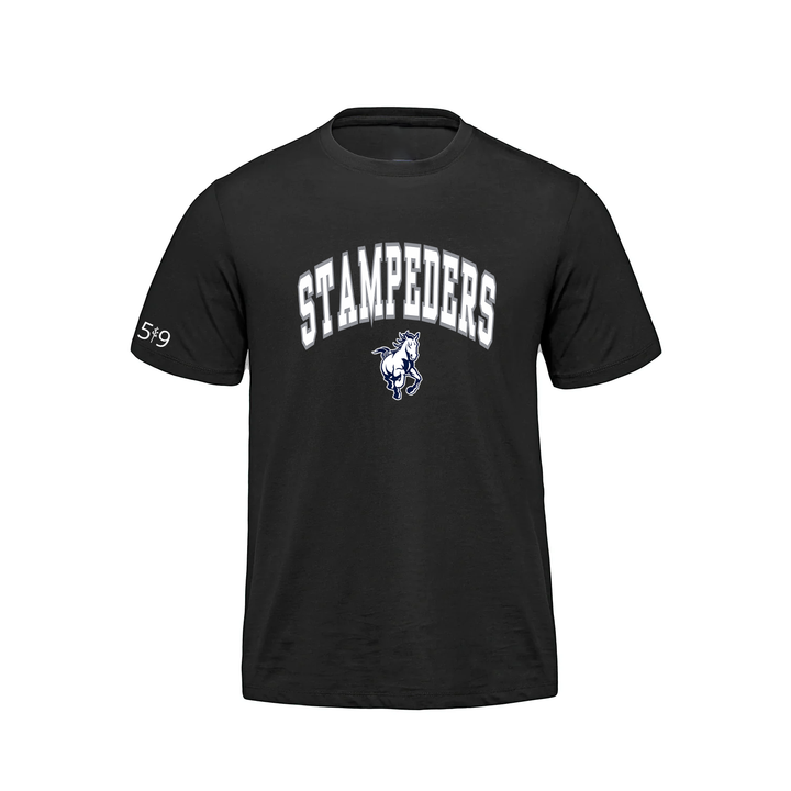 PARKSIDE VARSITY PREMIUM TEE (MENS)