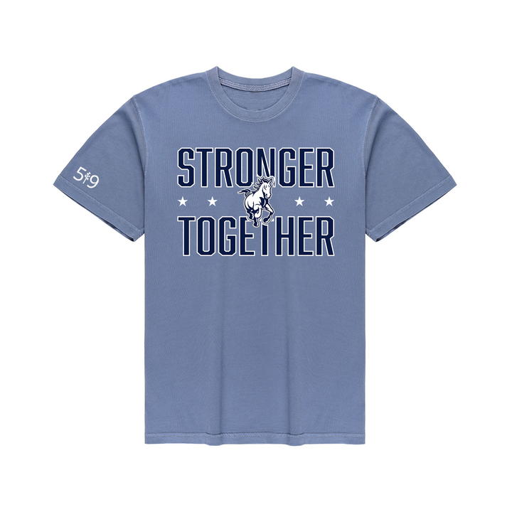 PARKSIDE STRONGER TOGETHER VINTAGE TEE (UNISEX)