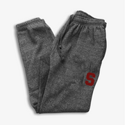SOUTH LIONS EMBROIDERED SWEATPANTS (UNISEX)