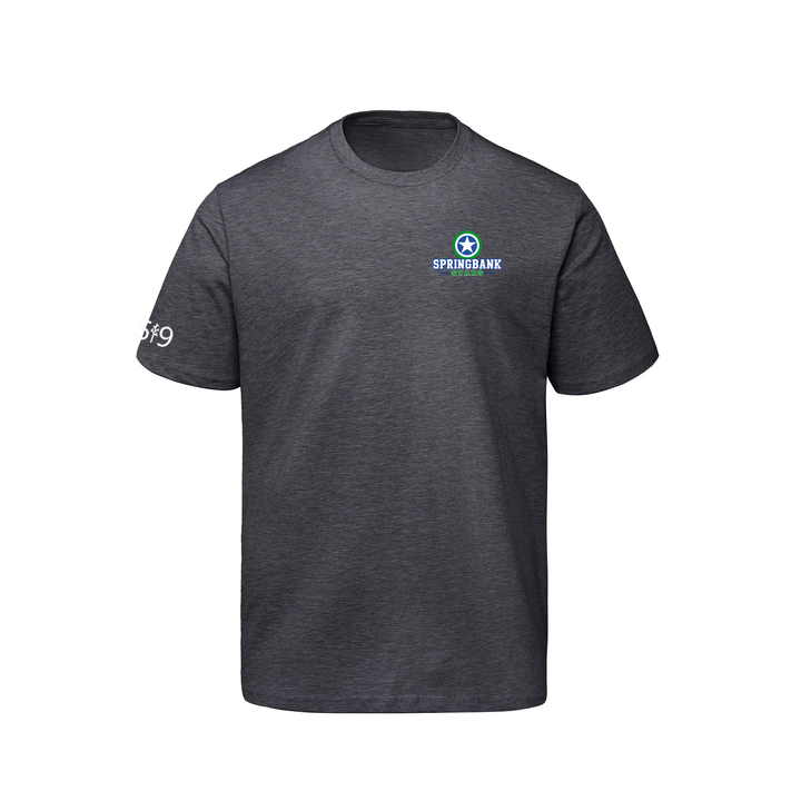 SPRINGBANK CLASSIC TEE (MENS)