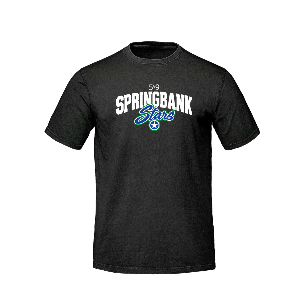 SPRINGBANK LEGACY RETRO TEE (UNISEX)