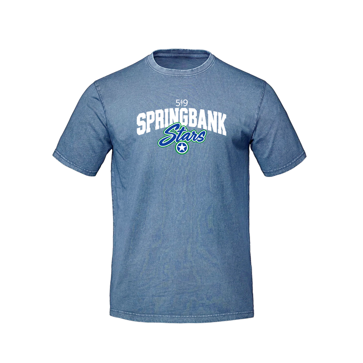 SPRINGBANK LEGACY RETRO TEE (UNISEX)