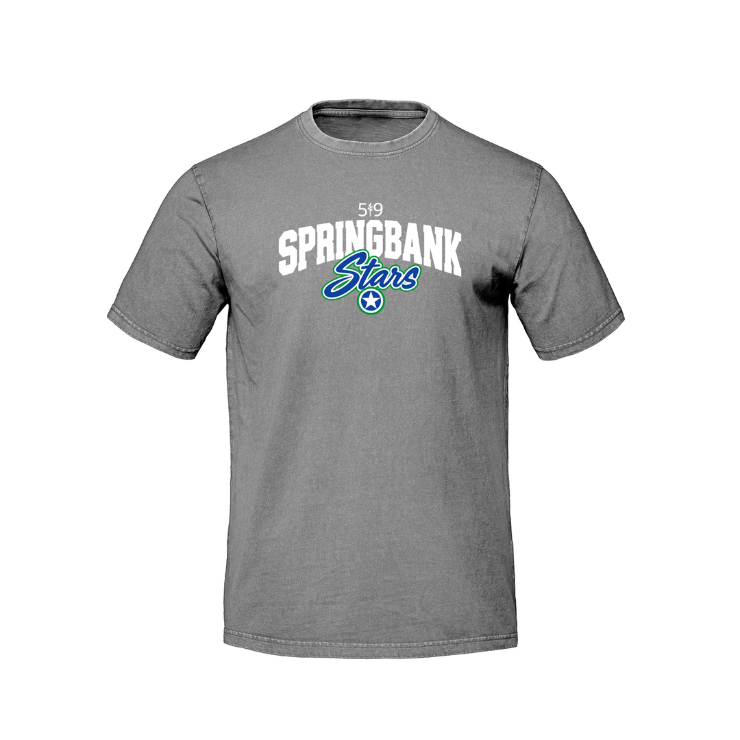 SPRINGBANK LEGACY RETRO TEE (UNISEX)