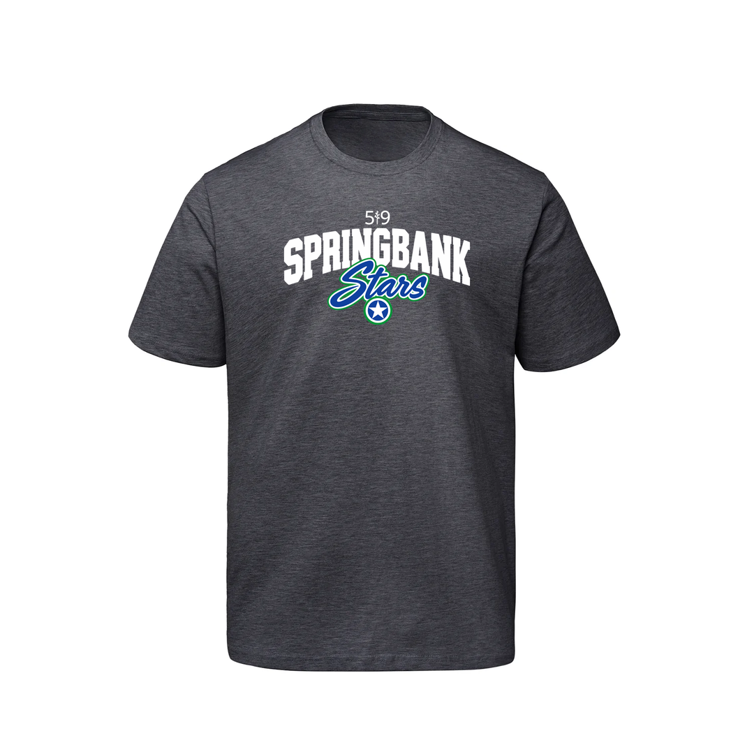 SPRINGBANK LEGACY TEE (MENS)