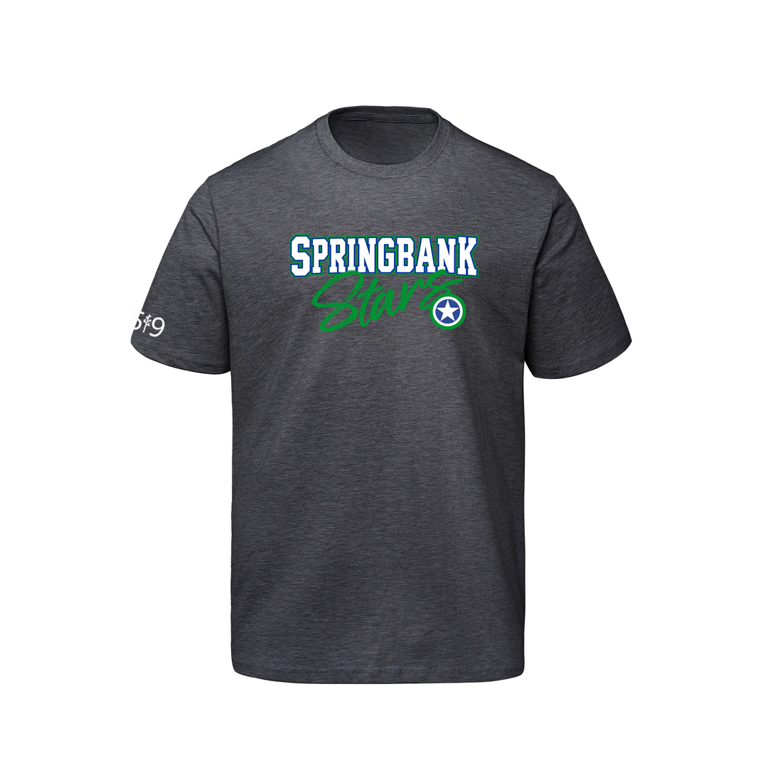 SPRINGBANK SIGNATURE TEE (MENS)